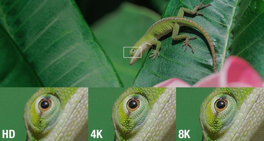 4K and 8K standard